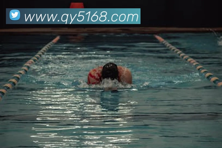 对战数据统计